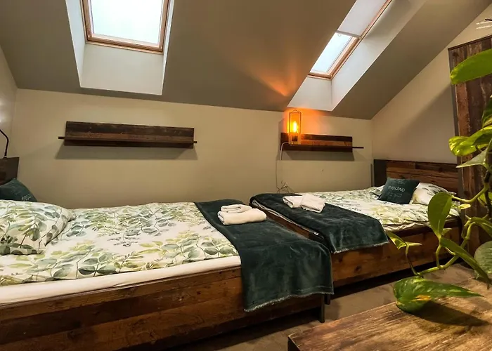 Pod Cisem Hostel Elbląg